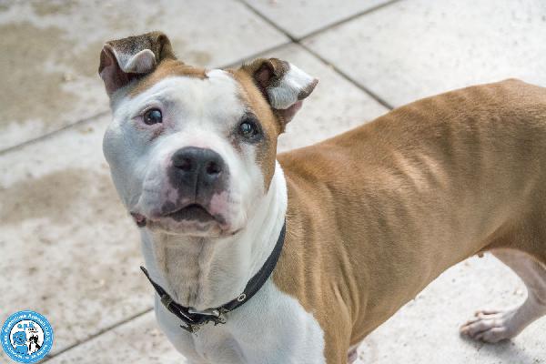 Molly, una casa per gli anni più preziosi Foto 3